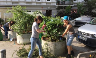 Pflanzkübel Aktion Fischers Allee