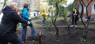 michel-pflanzaktion-hamburg