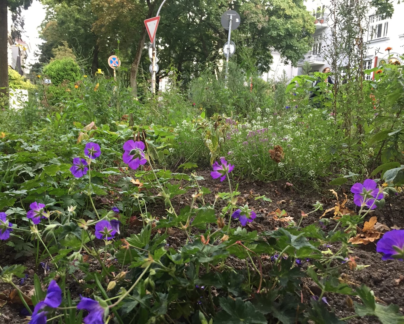 Greencity Hamburg Blühfläche