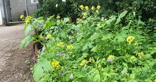 Strassenbeet Motte Spielplatz