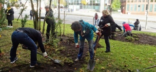 st-michaelis-kirche-hamburg-gruen