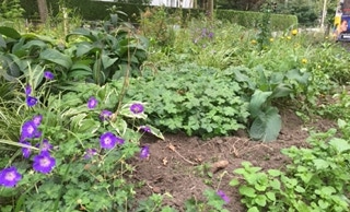 Grünfläche Fischers Allee