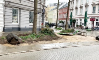 gruenpatenschaft-rothestrasse-ottensen