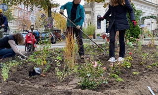 Grünfläche Fischers Allee
