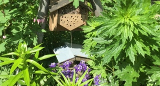 Baumscheibe Insektenhotel Arnoldstrasse