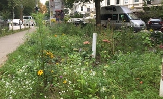 Grünfläche Fischers Allee