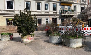 Pflanzkübel Aktion Fischers Allee